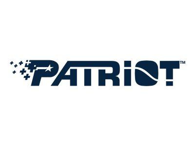 PATRIOT P210 SSD 512GB SATA 3 Internal Solid State Drive 2.5inch