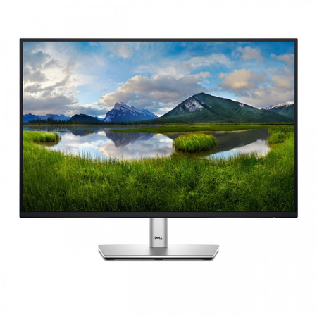 Dell 24 Monitor - P2425, 61cm (24.0")